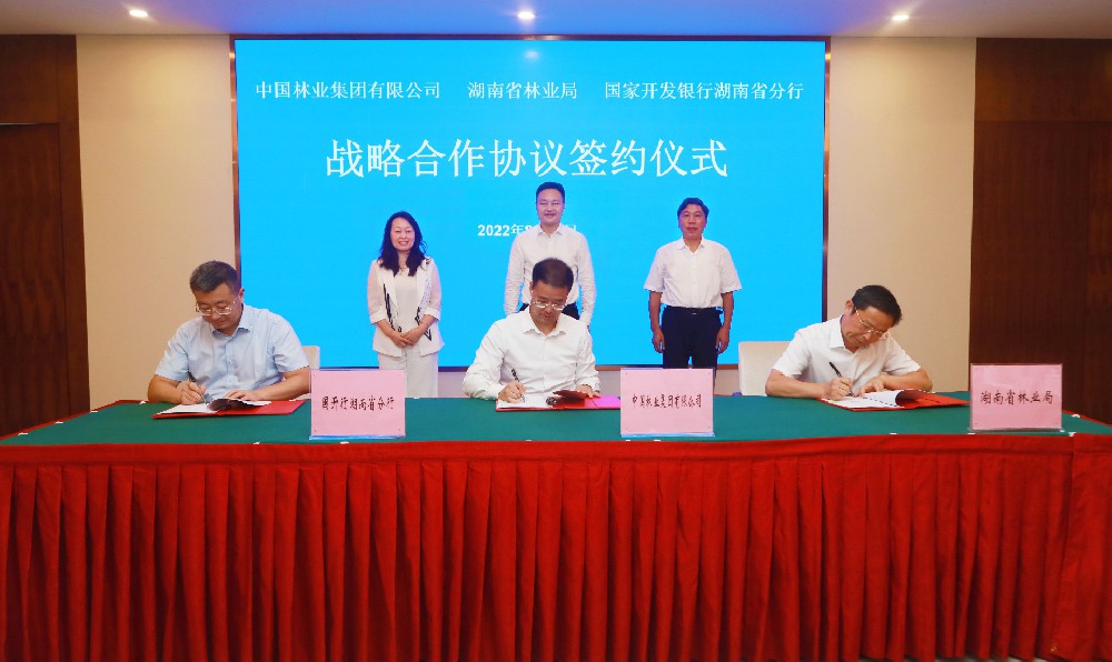 中林集團(tuán)與湖南省林業(yè)局、國開行湖南省分行簽署戰(zhàn)略合作協(xié)議