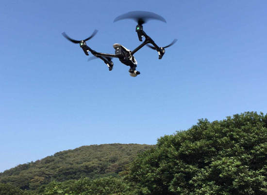 好家伙，林還能這么“管”：中林集團科技賦能智慧林業監管