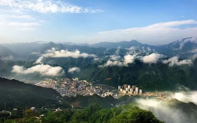 余紅輝接受新華社《瞭望》專訪——以林固碳 以林富農